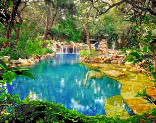 The Willis Custom Pool